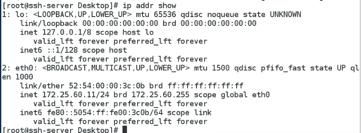 Linux远程访问ssh详细教程_opensshd_10