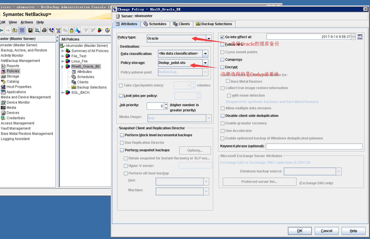 Veritas Netbackup Oracle数据库本机备份恢复_Netbackup_06