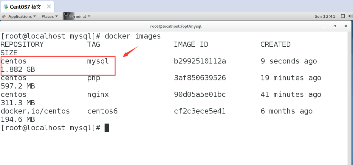 Docker分离部署LNMP_Docker_16