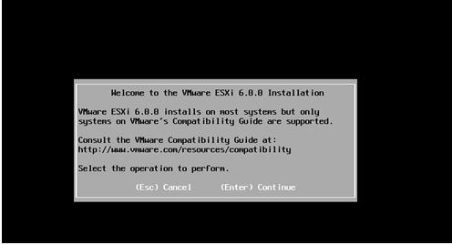 VMware虚拟化之lenovo服务器安装ESXI（3）_分区_19