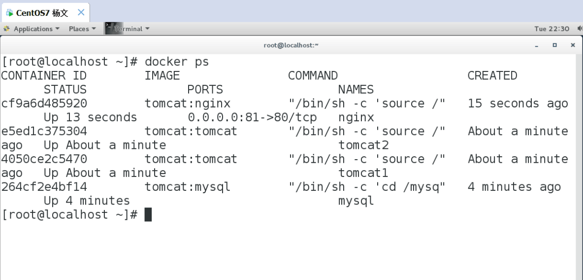 Docker分离部署MySQL、Nginx+Tomcat复制共享_Nginx_14