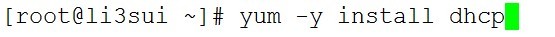 linux  dhcp的详细配置_详细