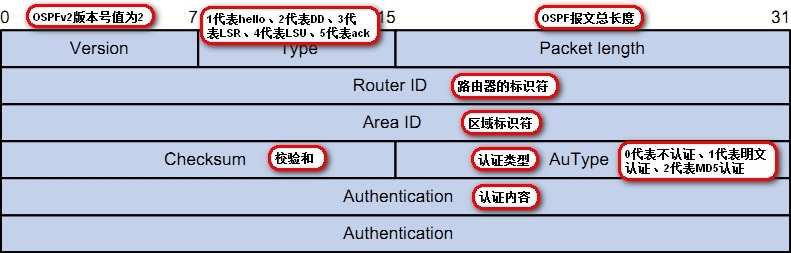 OSPF知识点_路由器_03