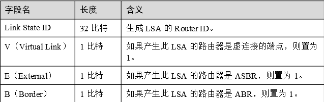 OSPF LSA报文格式详解_报文_05