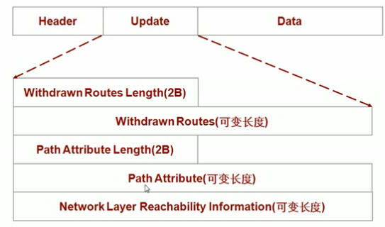 BGP路由_BGP_06