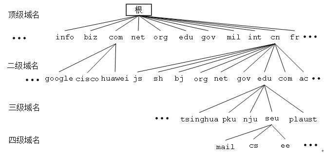 DNS学习笔记_DNS_02