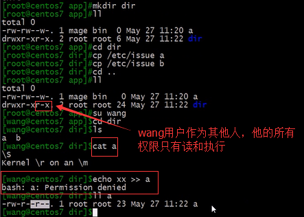 用户和组的的权限_Linux_08