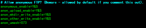  FTP文件服务器_配置文件_07