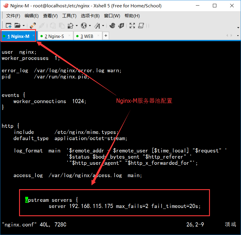 Nginx+keepalived（部分配置）_Apache_05