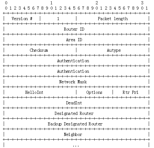 OSPF报文详解_OSPF_02