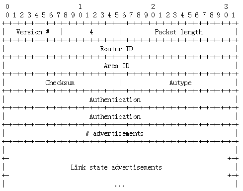 OSPF报文详解_IGP_05