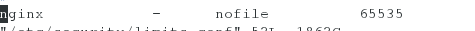 nginx_Linux_11