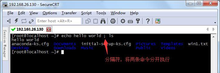 通配符_Linux_16