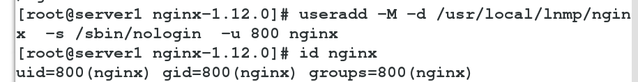 nginx_nginx