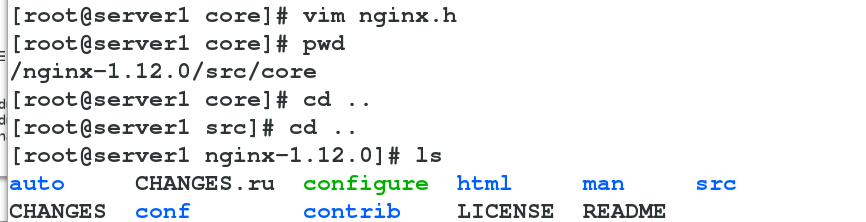 nginx_nginx_03