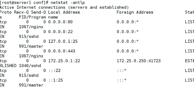 nginx_nginx_17