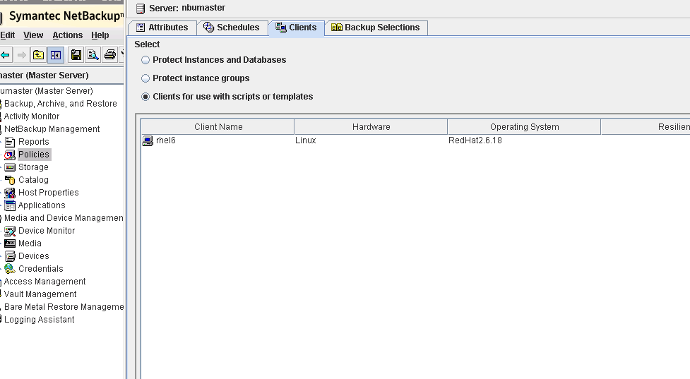 Veritas Netbackup Oracle数据库本机备份恢复_Oracle_08