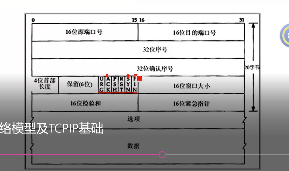 网络基础知识（1）====OSI七层模型_OSI七层模型汇总_04