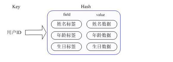 第二十一周微职位_redis_04