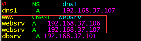 DNS配置_Linux_19