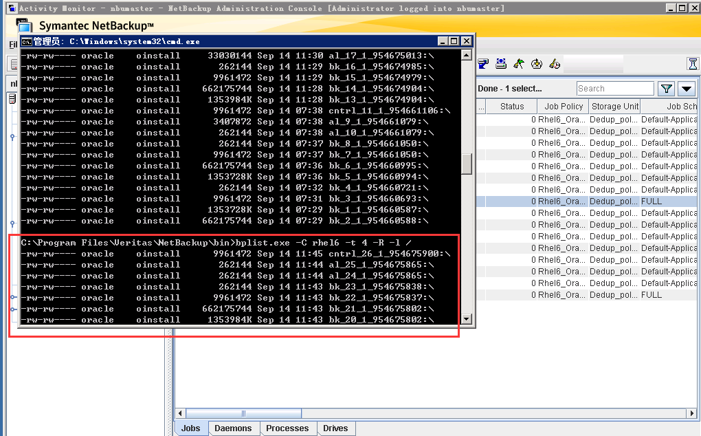 Veritas Netbackup Oracle数据库本机备份恢复_Oracle_12