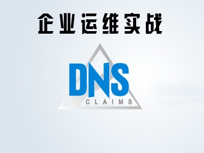 企业运维实战之DNS实战视频课程【DNS实时查询统计/ACL/主从/分离解析】