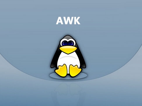 老段带你学AWK视频课程-Linux从业人员必备工具
