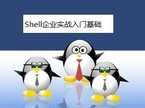 企业Shell实战基础篇视频课程-运维人员必备利器2018
