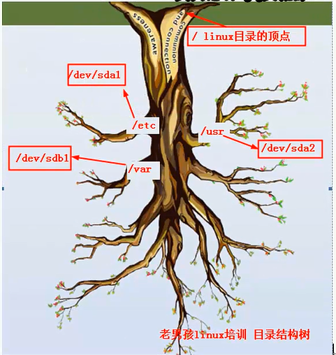 老男孩学习笔记－目录结构１_学习笔记