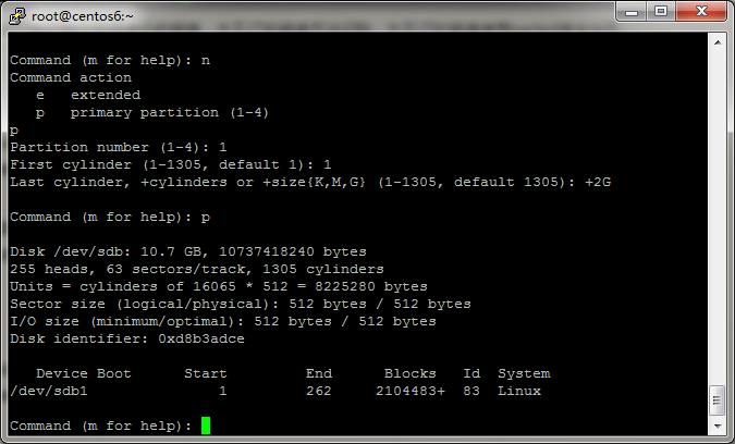 使用fdisk给新硬盘分区_fdisk_10