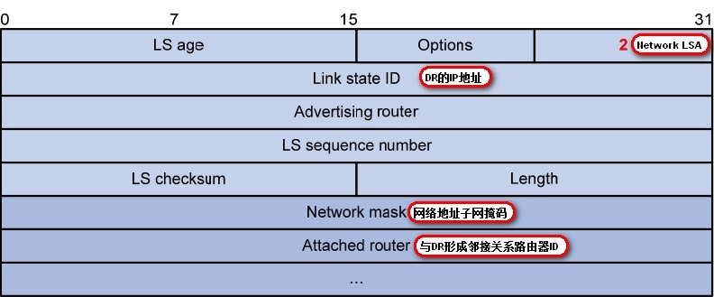 OSPF知识点_路由表_07