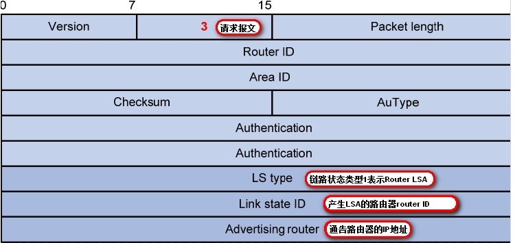 OSPF知识点_数据库_06