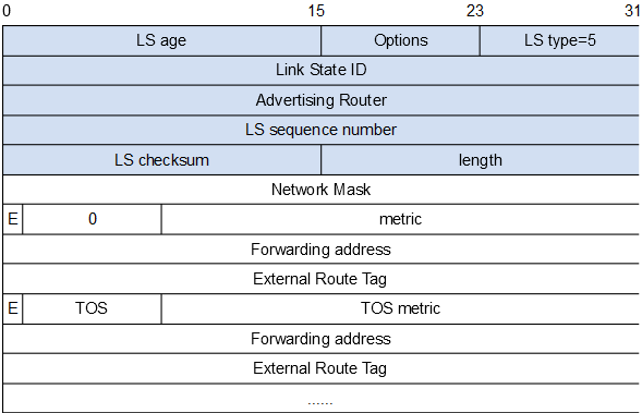 OSPF LSA报文格式详解_格式详解_13