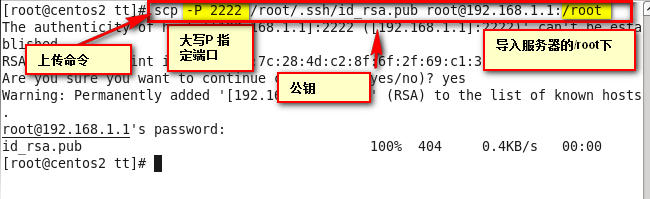 rsync与inotify_rsync与ssh和inotify三者结_17