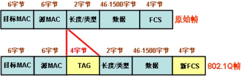 VLAN知识点_vlan_04