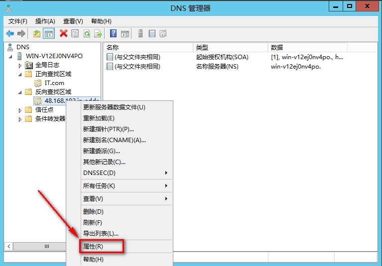 windows Server 2012安装辅助DNS步骤_DNS_37