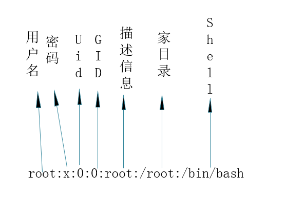 用户和用户组管理_用户信息