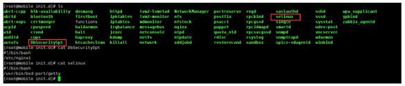 linux 服务器中木马及清除木马_其他_07