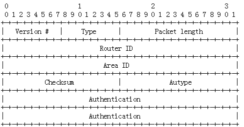 OSPF报文详解_OSPF