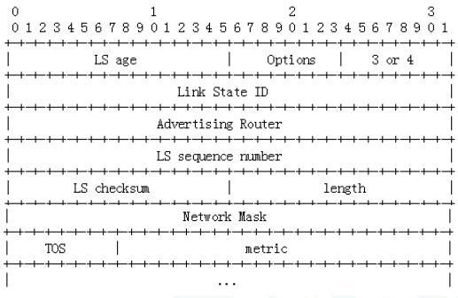 OSPF报文详解_链路_10