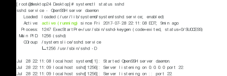 linux云自动化运维基础知识8（进程）_Linux_03