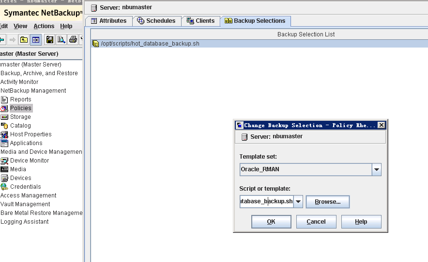 Veritas Netbackup Oracle数据库本机备份恢复_Netbackup_09